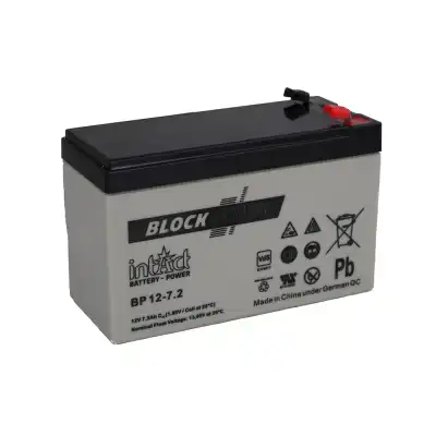 Monoblock AGM, 12V 7.2Ah/C20_1