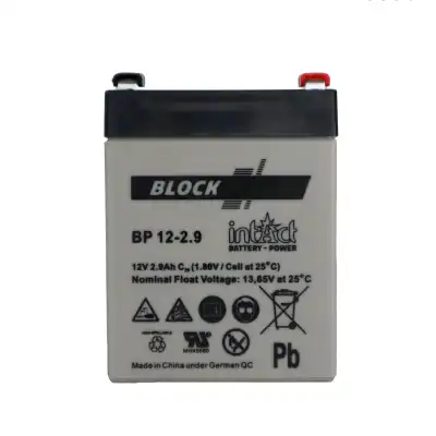 Monoblock AGM 12V 2.9Ah/C20_2
