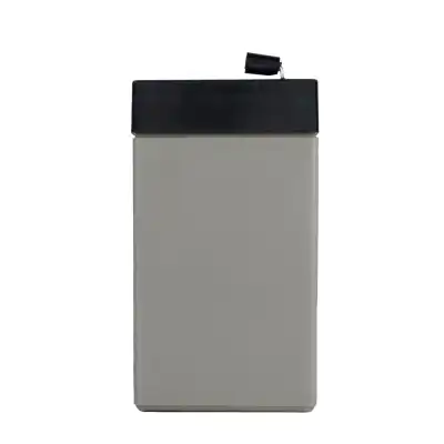 Monoblock AGM 12V 2.9Ah/C20_3