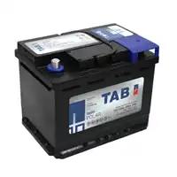 Polar 12V 60Ah / 600A